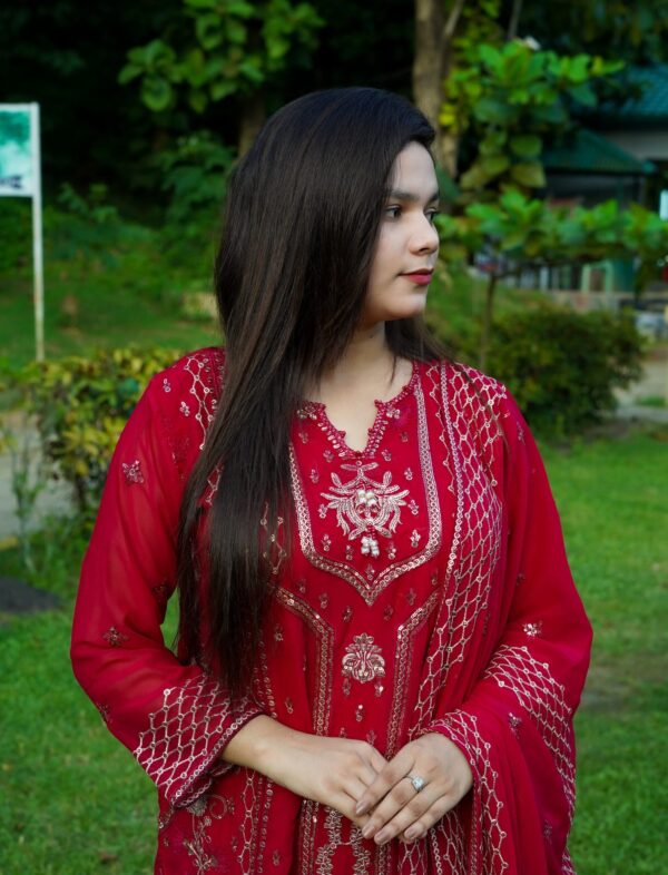 Pakistani Party Dress. - Image 4