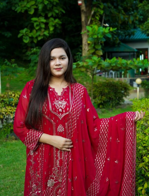 Pakistani Party Dress. - Image 3
