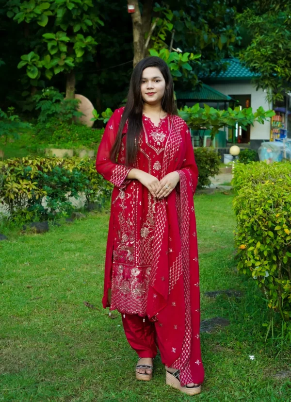 Pakistani Party Dress.